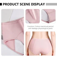 Urinary Urinary Incontinence Panties Women Waterproof Anti-side Leakage Menstrual Pants Miss Panties Ladies Lingerie Fabric 2