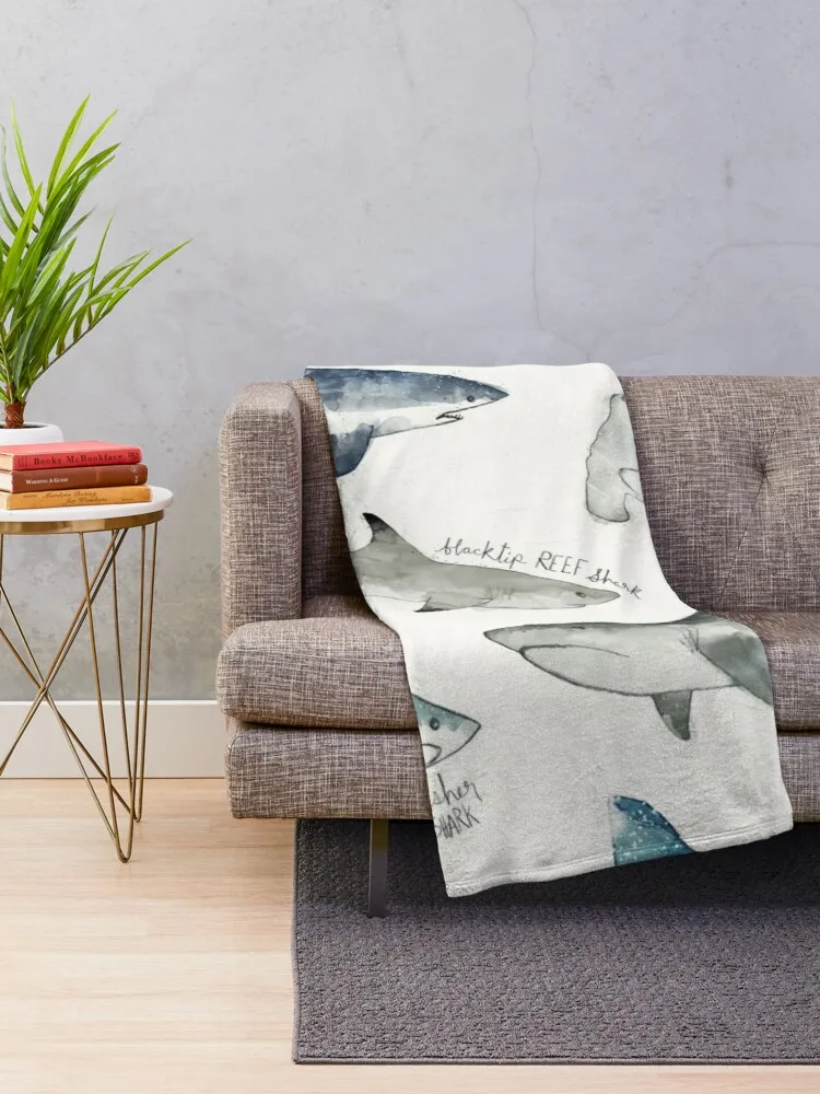 ��� ������ ���, ���� ������