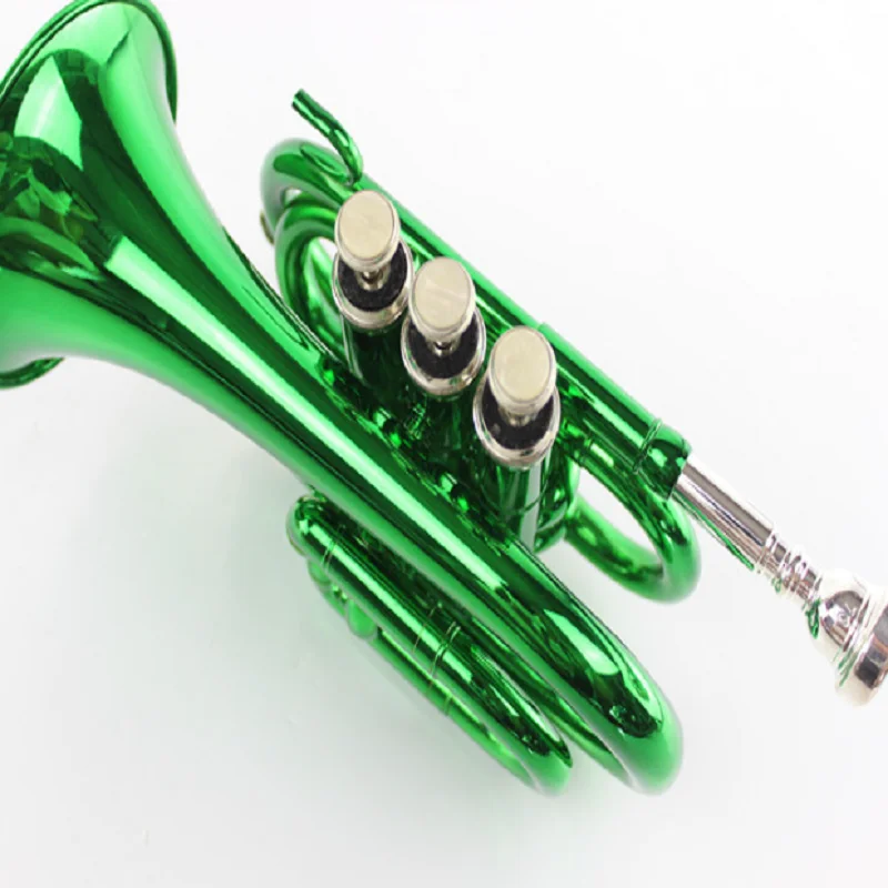 Pocket Green Palm Instrument for Beginner, Western Wind Instrument, B Flat, Manufacturers,