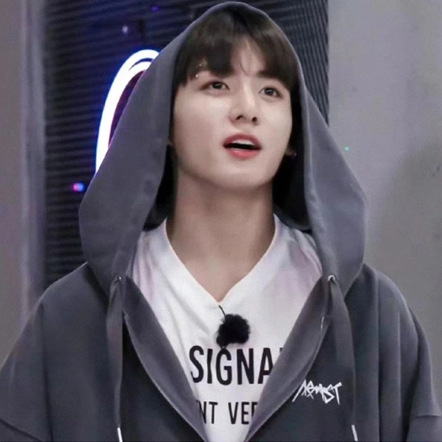 Jungkook Sweatshirt Hood, Coat Sweatshirt Jungkook