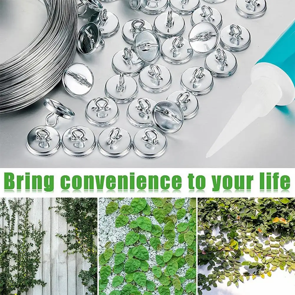 50Pcs Trellis Anchor Plant Anchors Wall Climbing Aluminum Climbing Wall Plants Fixer Clip Rattan Fixer Planting Accessories