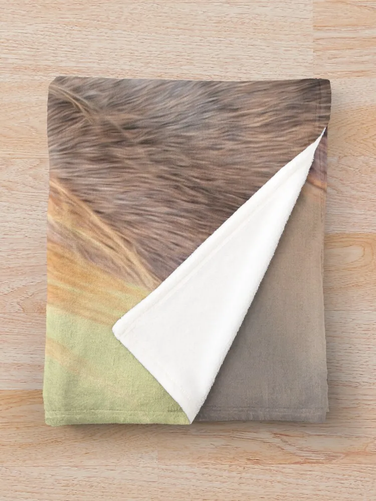 �� �� Ŭ����� ��ũ ���� ���� �� ������ ���, �ܿ� �ڽ����� �ִϸ��̼� ����, ������ ��� ������