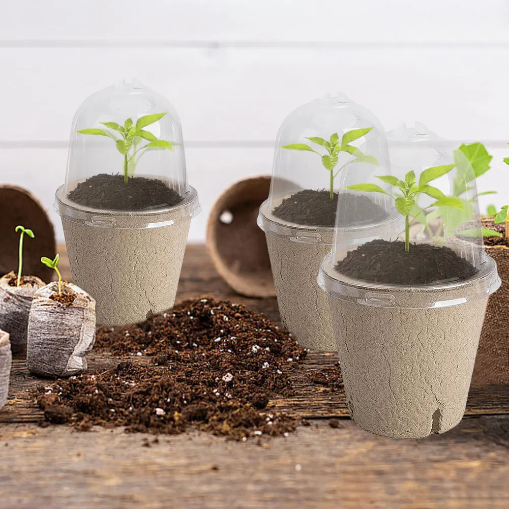 10/20PCS Seedling Cup Germination Planter Transparent Lid Greenhouse Breeding Box Biodegradable Versatile Gardening Supplies