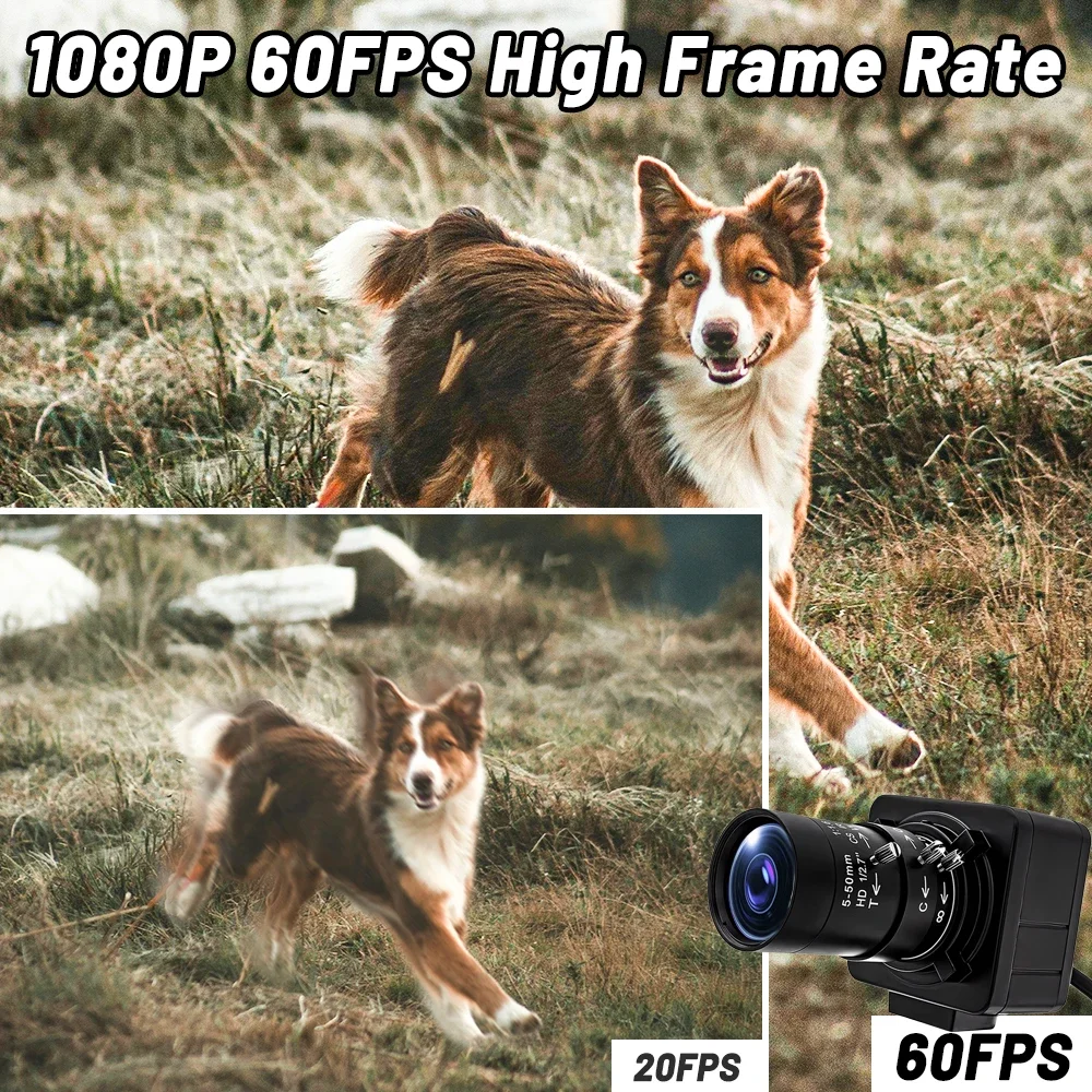 20X Zoom IP Camera 1080P 60FPS 1/2.8" IMX307 CMOS With 5-50mm Varifocal Lens Sup