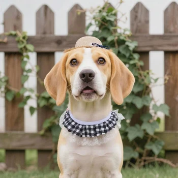 Cappello in Paglia Creativo per Cani e Gatti, Costume Artigianale da Pollame, Antivento con Corda per Cuccioli