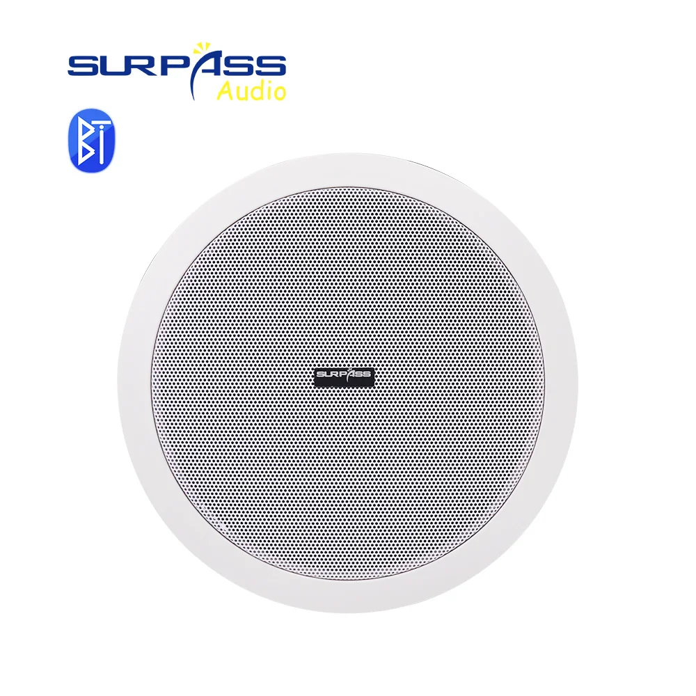 US $33.82 - 51.91 Built-in Class-D Amplifier Full Range Bluetooth-compatible Ceiling Speaker Horn For Home Theater Background Music Good Quality