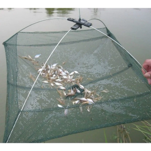 Nylon Collapsible Portable Fishing Trap Net Fish Cage Automatic Foldable  Catch Crab Baits Trap Bubu Ikan Jala 4/6/8/10 Holes - AliExpress