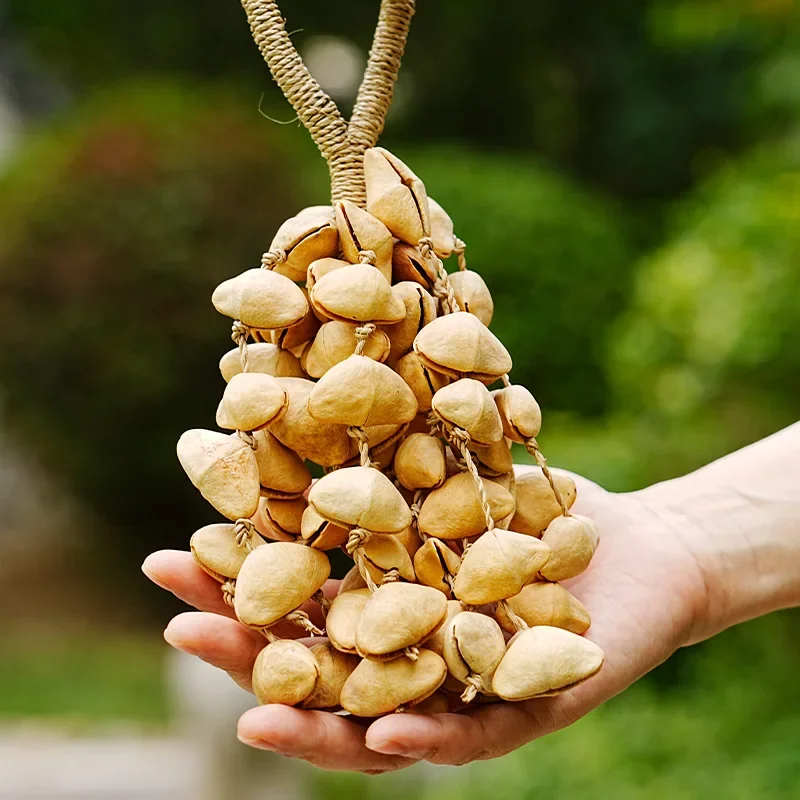 Natural Fruit Ringing Bell Yoga Meditation Diapason Wind Chimes Sound Healing Musical Bells Professional Percussion Instruments