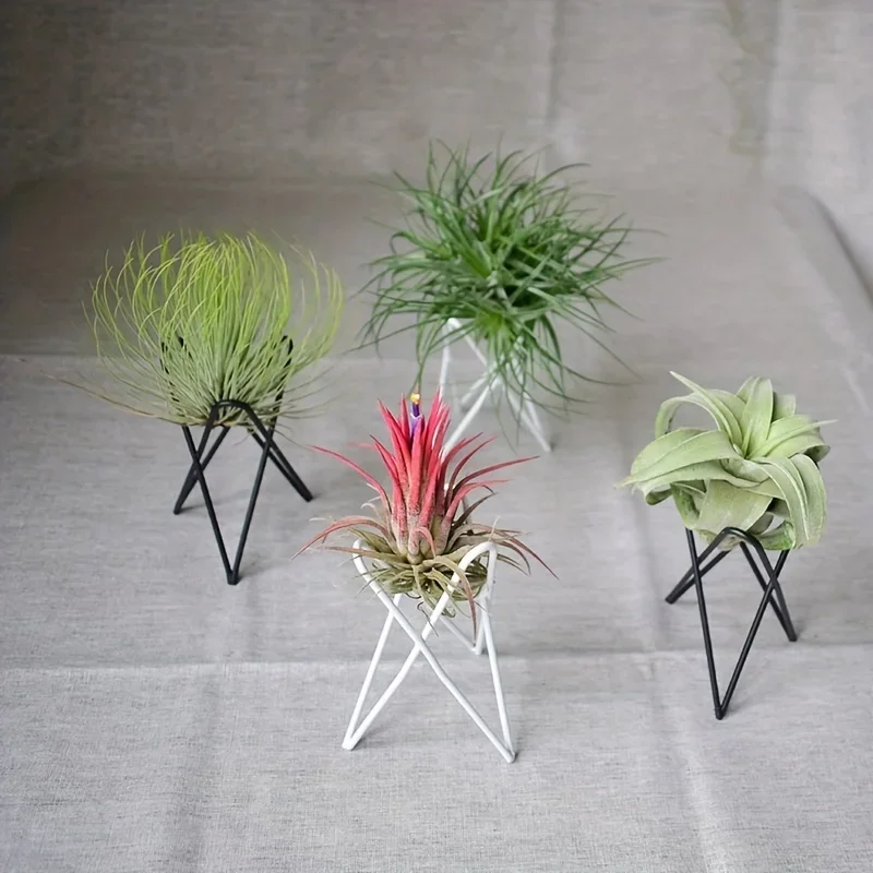 European Style Mini Desktop Flower Rack Metal gardens