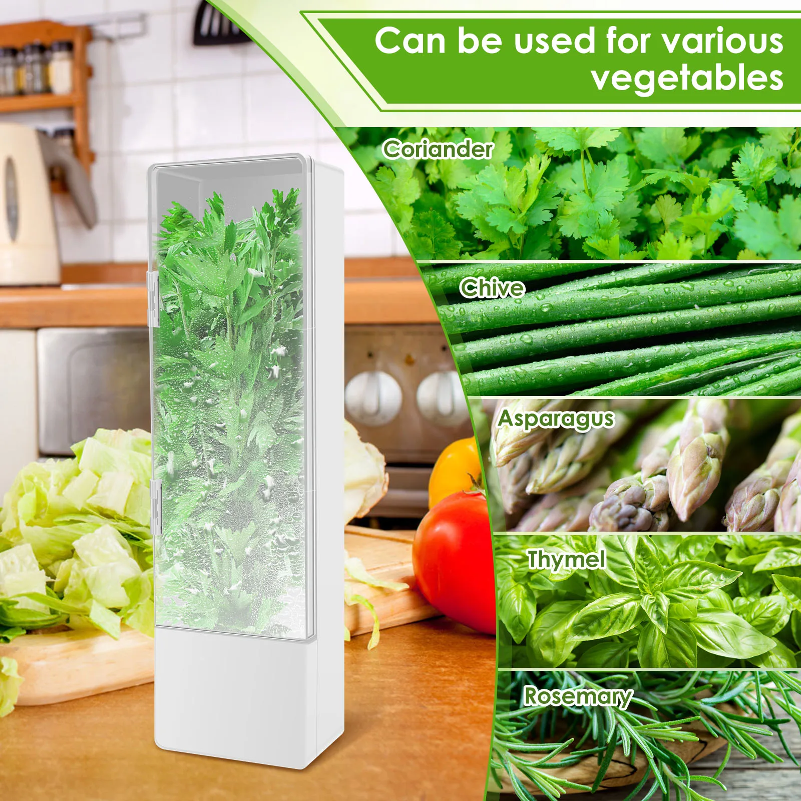 Herb Saver Keeper Box Fresh Container Veggie Storage Fresh Keeper Fridge Vege Preserve Bottle for Cilantro Mint Parsley Asparagu