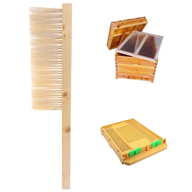 Méhészeti Szerszámok Fa Mézes Kefe Wasp Méh Söpörj Két Sor Ló Farok Hajat Új Méhkefe Méhész Felszerelés - Image 2