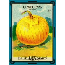 

Vintage Tin Poster Onions Rust Metal Tin Sign 8x12 Inch Retro Art Home Kitchen Bar Restaurant Garage Garden Wall Decor New