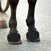 Rubber Bell Boots Rubber Overreach Horse Boots 2pcs Soft Equine Boots Protective Gear Accessories For Training Equipment 3