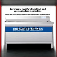 SGF Ultrasonic Commercial Vegetable Washer Dishwasher Stainless Steel Sink 2