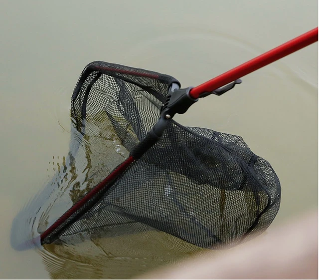 Aluminum Alloy Big Size Net Retractable Fishing Net Telescoping Foldable  Landing Net Pole Folding Landing Net For Fly Fishing - AliExpress