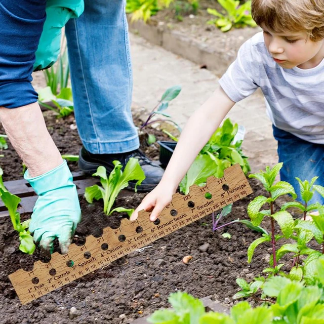 Règle d'espacement pour la plantation des semences et plantes : :  Jardin