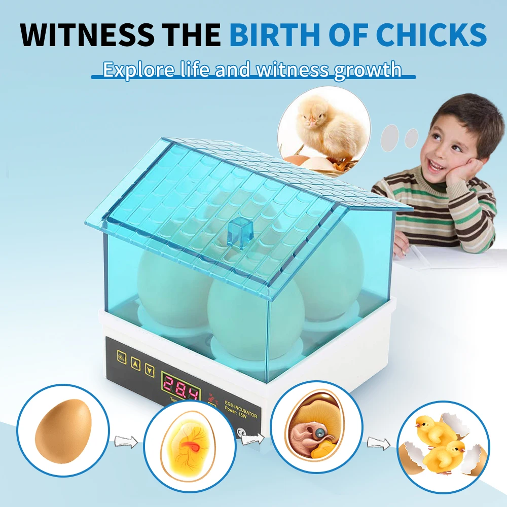 4-Egg Mini Incubator Small Household Automatic Constant Temperature egg incubator Can Hatch Eggs Of Chickens Ducks Turtles And Birds