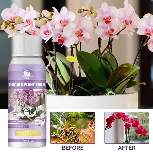 A Növényi Növekedés Fokozó Kiegészítője Elősegíti Növények Egészségét És Biztonságos Szerves Műtrágya Orchidea Folyadékot - Image 4