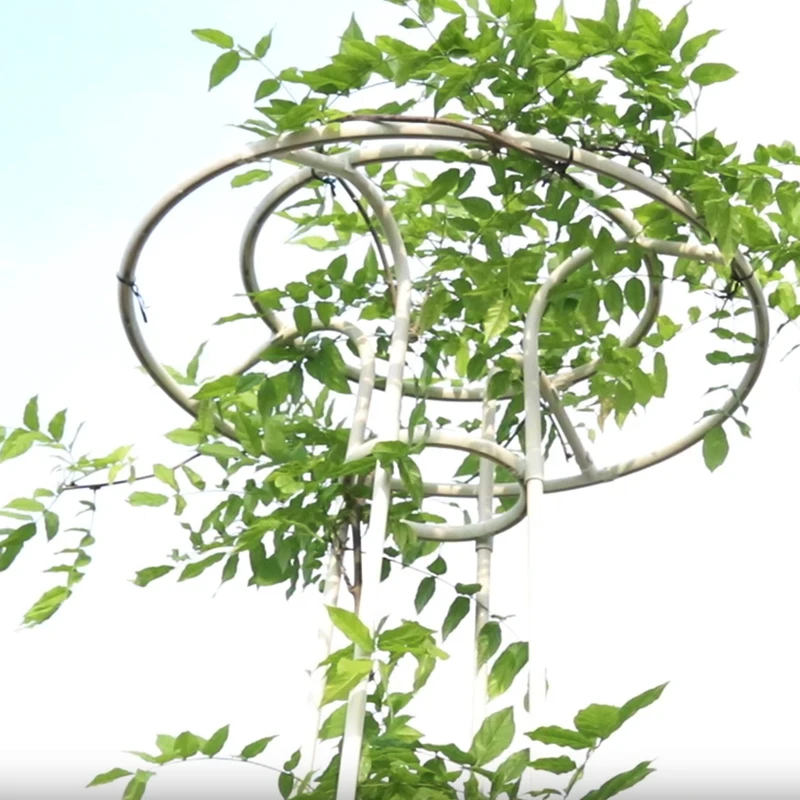 Umbrella Style Flower Trellis Outdoor Climbing Plant Support for Rose or Clematis 14mm Tube Diameter