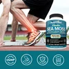 5950-d1d424.jpg Vegetarian Organic Sea Moss Supports Immune System, Joint Health Intestinal Cleansing Detoxification & Cleansing Skin Supplement