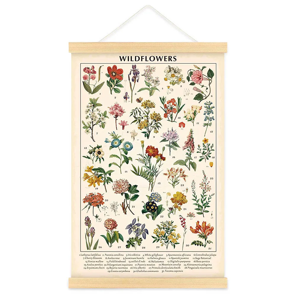 

Vintage Wildflowers Poster Botanical Wall Art Prints Colorful Rustic Style of Floral Wall Hanging Illustrative Reference Flower