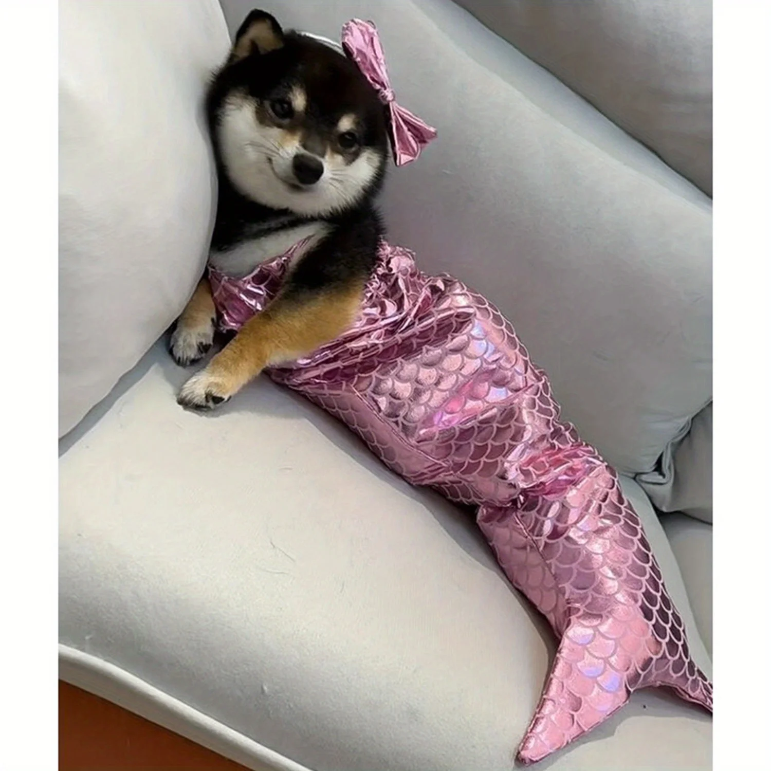 Cat Halloween Costumes Sparkly Cosplay Dog Clothes Outfit Small Kitten Birthday Party Dressing Up Pet Costumes Cos dog costume set