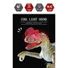 Electric Dinosaur Toy 2.4G Model Luminous Roaring Dinosaur Kids Party Favor 3