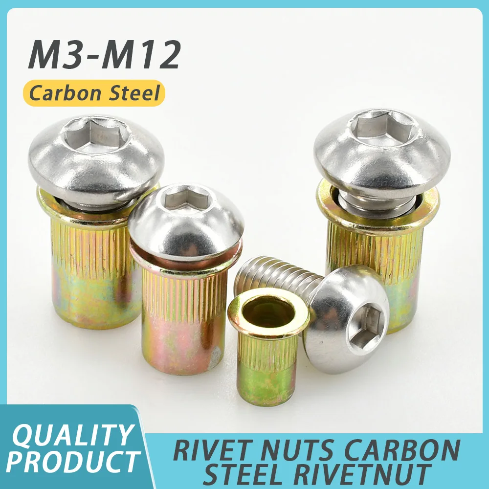 

M3 M4 M5 M6 M8 M10 M12 Threaded Insert Rivet Nuts Carbon Steel Rivetnut Stainless Steel Hex Socket Allen Bolt Nut Screw Set Kit