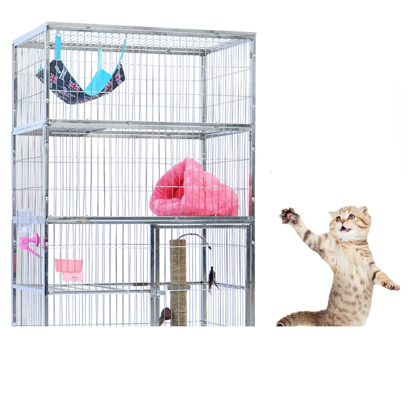 Pet Store Display Cages ubicaciondepersonas.cdmx.gob.mx