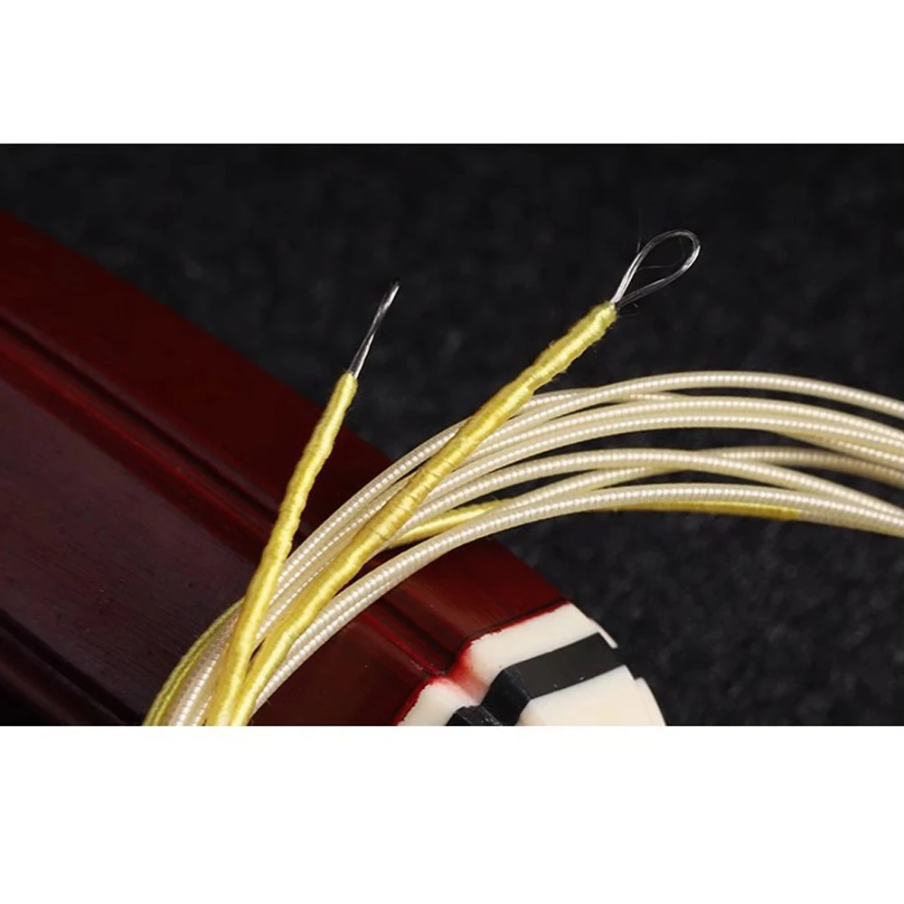 5 Sets Alice AT48 High carbon steel rope core silver plated copper Golden Multi-layer Nano Coating Nylon winding Pipa Strings