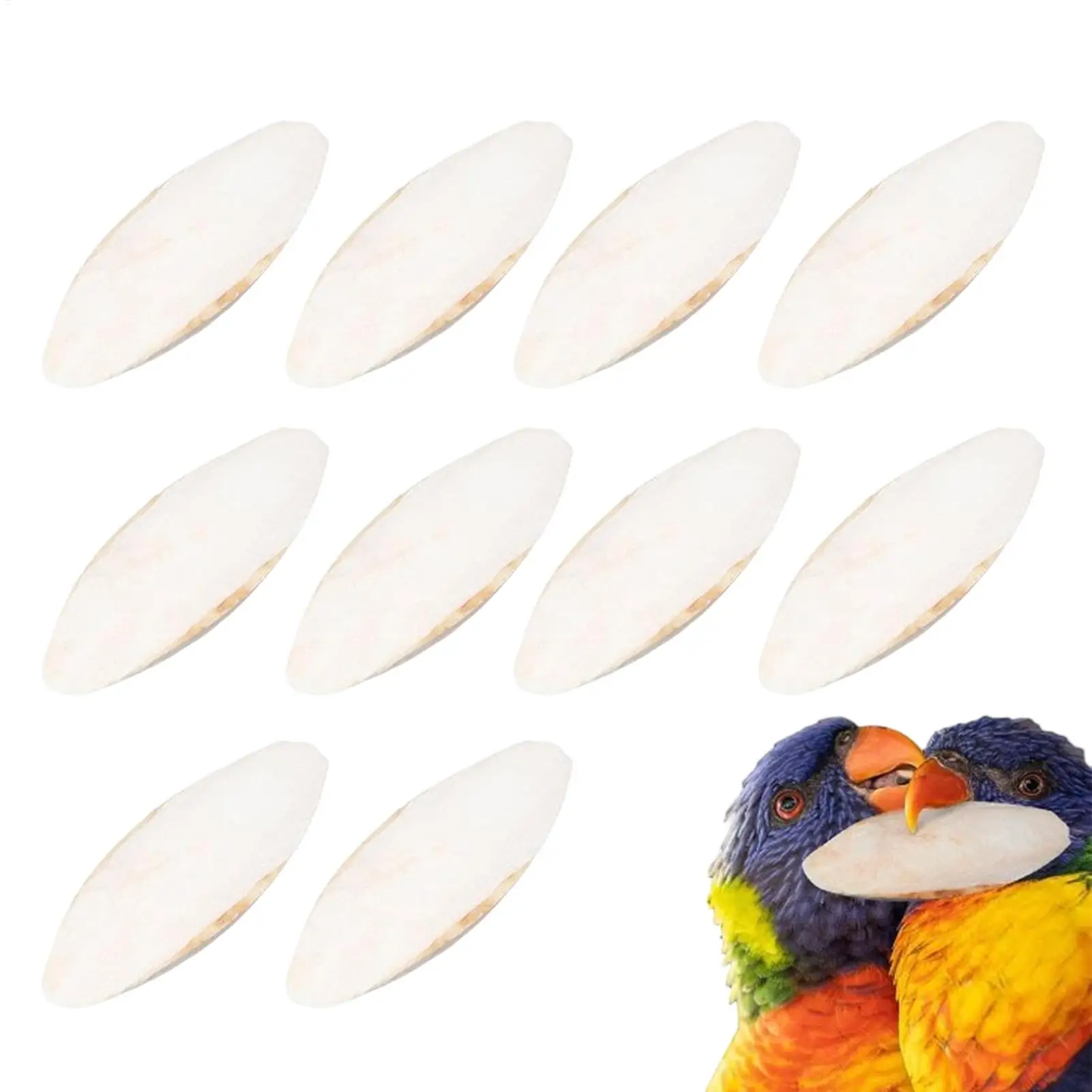 10pcs Bird Perch Cage Parakeet Chewing Toy Cuttlebone for Birds Natural Cuttlebone Pet Supplies Cuddle Bone Toys for Turtles