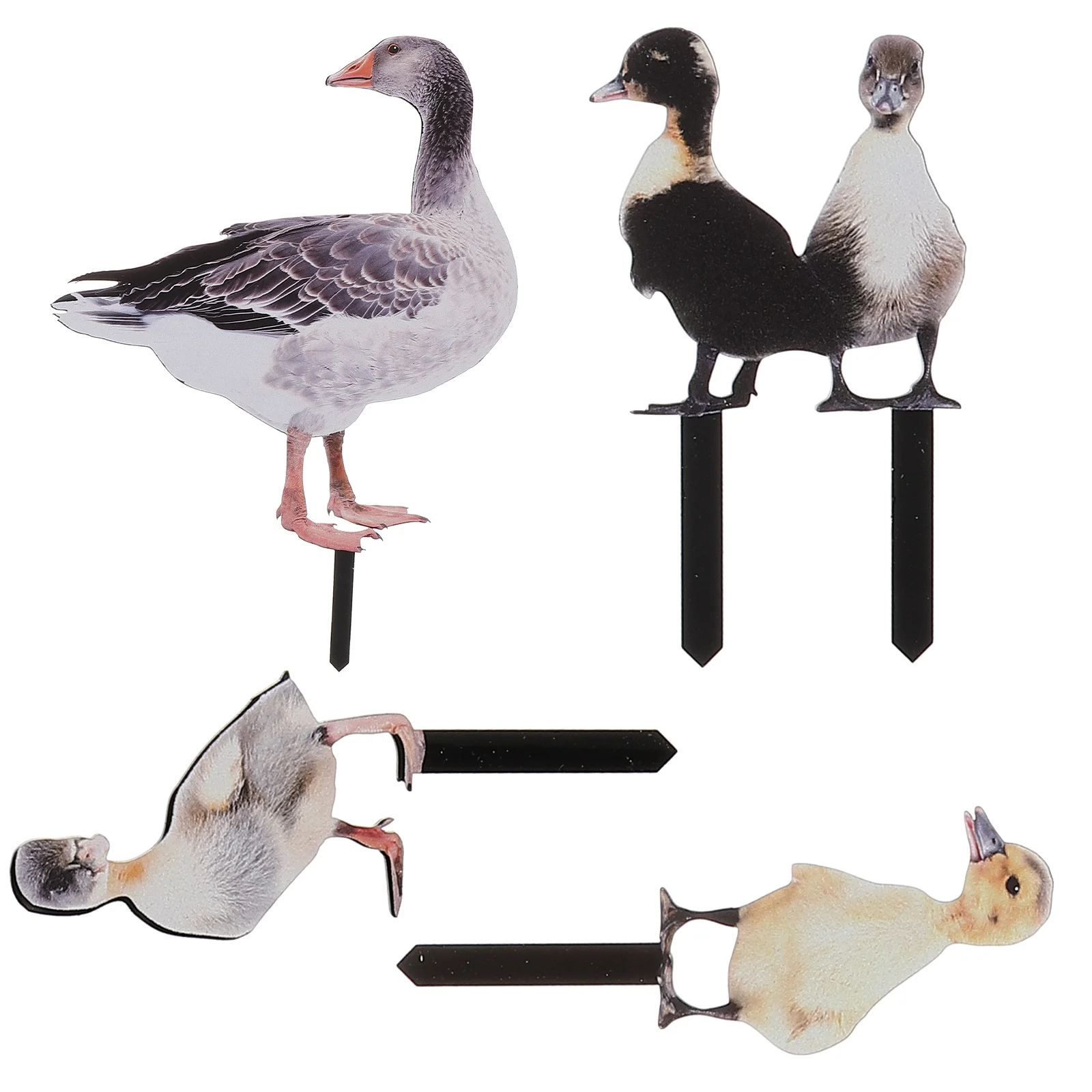 

Outdoor Duck Garden Stakes Animal Sculpture Realistic Lifelike Acrylic Poultry Statue Yard Lawn Decor Gnomes