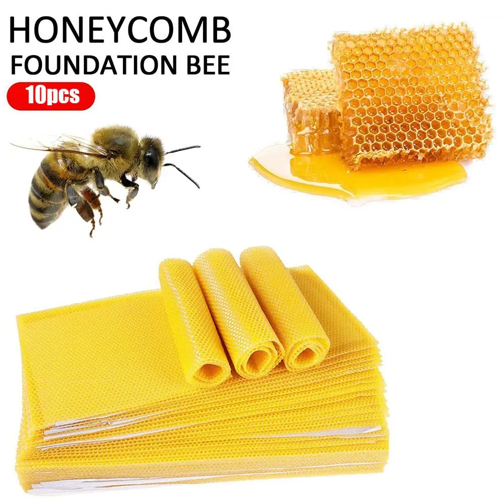 Bee Wax Foundation Bee Hive Wax Frames Base Sheets Comb Honey Frame Beeswax Sheets Beekeeper Equipment 10PCS beekeeping tools
