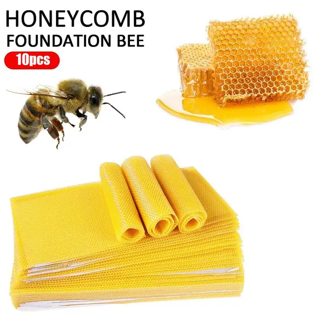 10 Darabos Méhviasz Alapítvány Méh Kaptár Viasz Keret Alaplapok Fésű Mézes Méhész Felszerelés - Image 3