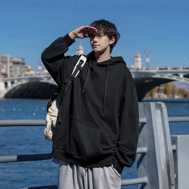 LAPPSTER-Youth 2000s Solid Y2k Hooded Hoodies 2023 Harajuku Pullover  Oversized Sweatshirts Japanese Streetwear Graphic Hoodies - AliExpress