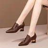 Thick Heel Fashion Shoes Women 2025 Spring and Autumn New Pointed Toe Deep Mouth Sexy Striped Fashion High Heels Women’s 2