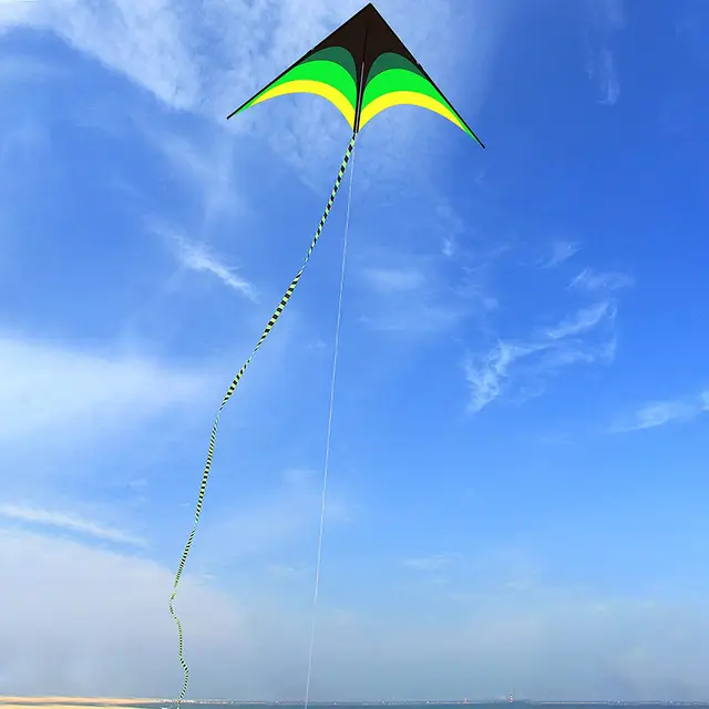 Outdoor Fun Sports New Arrive 1.6m Green Triangle Kites With 10m Tail / Handle & Line Good Flying 2
