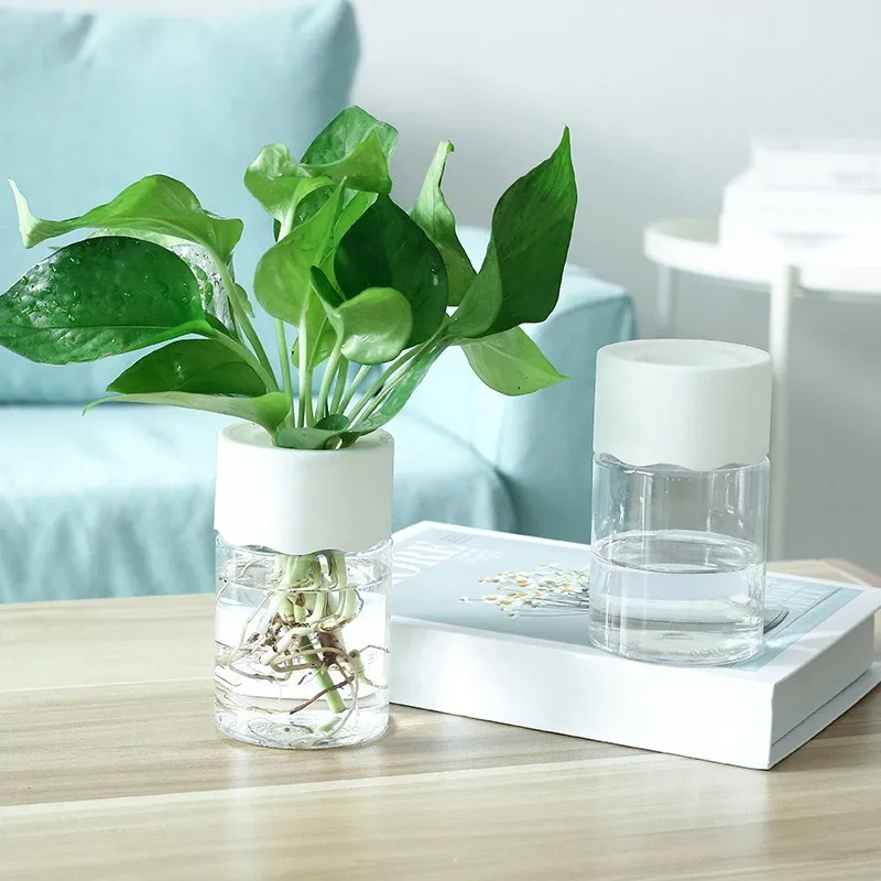 Small Hydroponic Green Plant Vase Home Vase Decor Transparent Imitation Glass Soilless Plant Pots Pot for Home Decoration 2