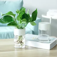 Small Hydroponic Green Plant Vase Home Vase Decor Transparent Imitation Glass Soilless Plant Pots Pot for Home Decoration 2