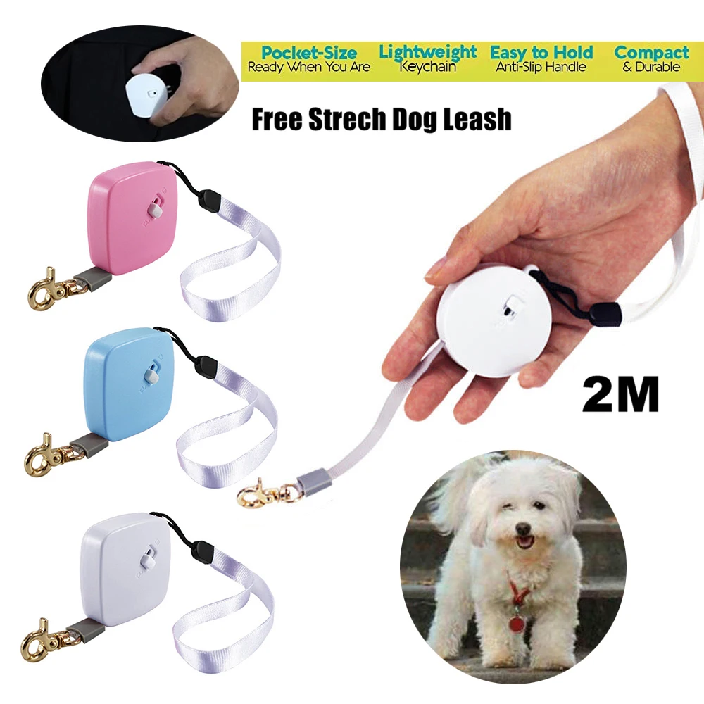 Portable Dog Cat Leash Pocket Size Retractable Pet Automatic Leads For