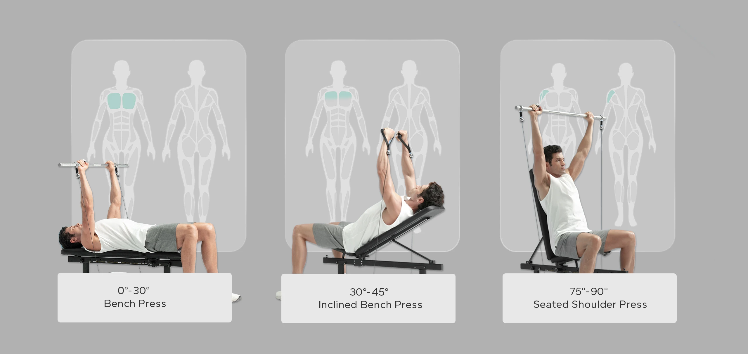 Speediance Home Gym Adjustable Portable Bench Strength Training Home Fitness Foldable Adjustable Bench