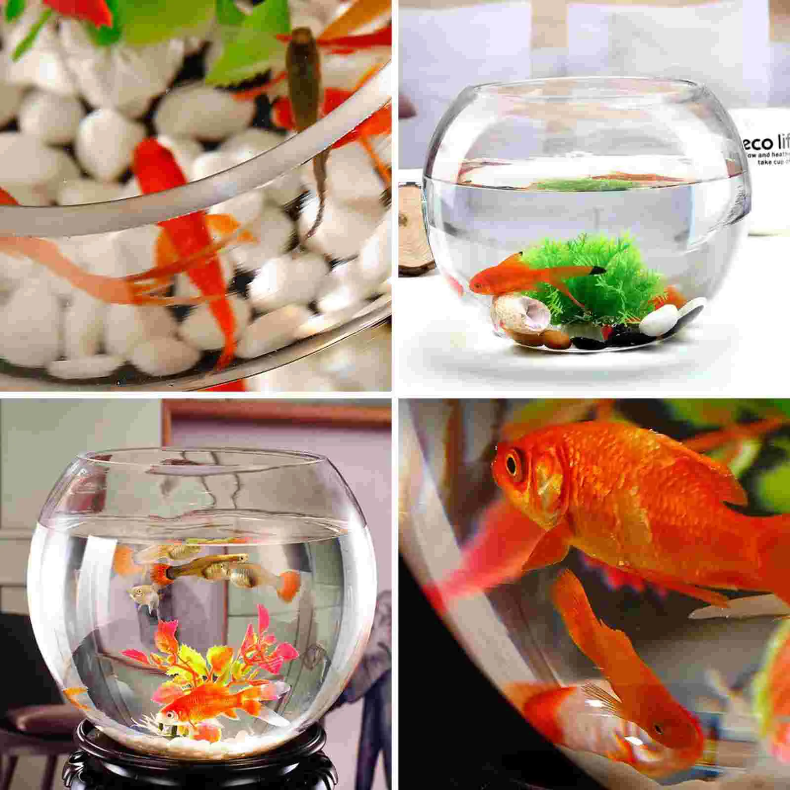 Glass Fish Tank Pom Vases Wall Hooks Decorative Goldfish Bowl Hydroponic Aquarium Transparent Desktop Square 2