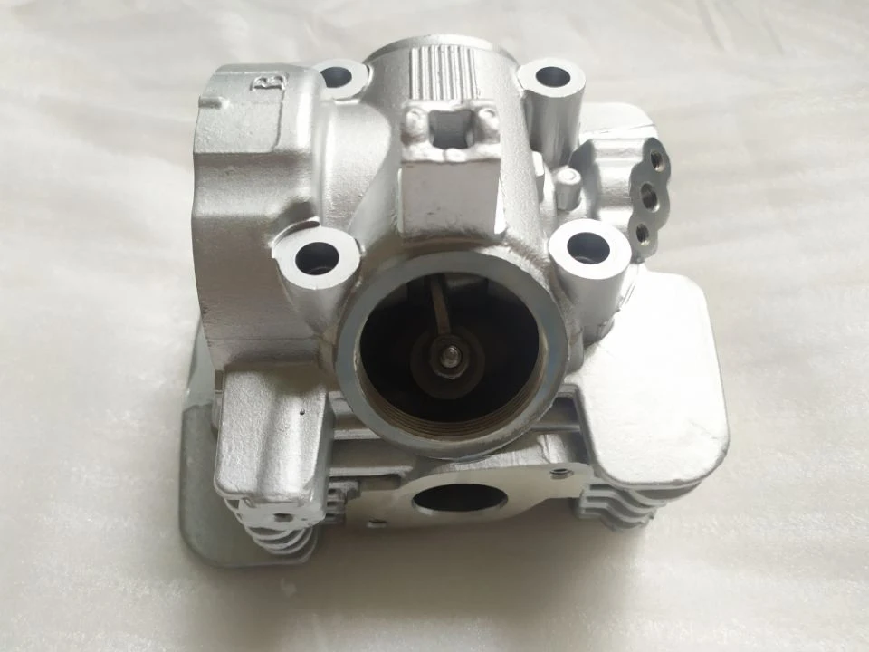 Motorcycle Complete Assembled Cylinder Head Assy For Yamaha YBR125/JYM125(Euro II/III Model)
