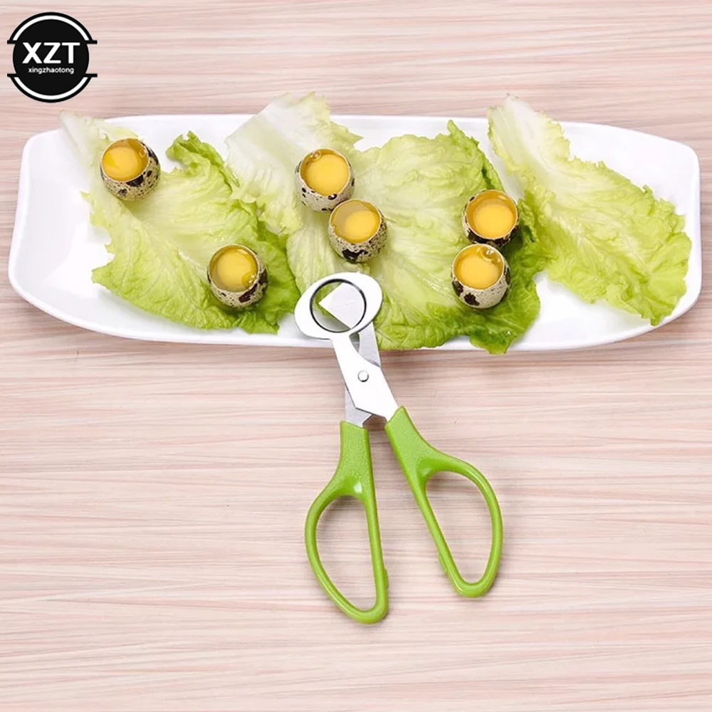 Stainless Steel Quail Egg Opener Cutter Scissors for Quail Egg Bird Kitchen Clipper Tool Accessories