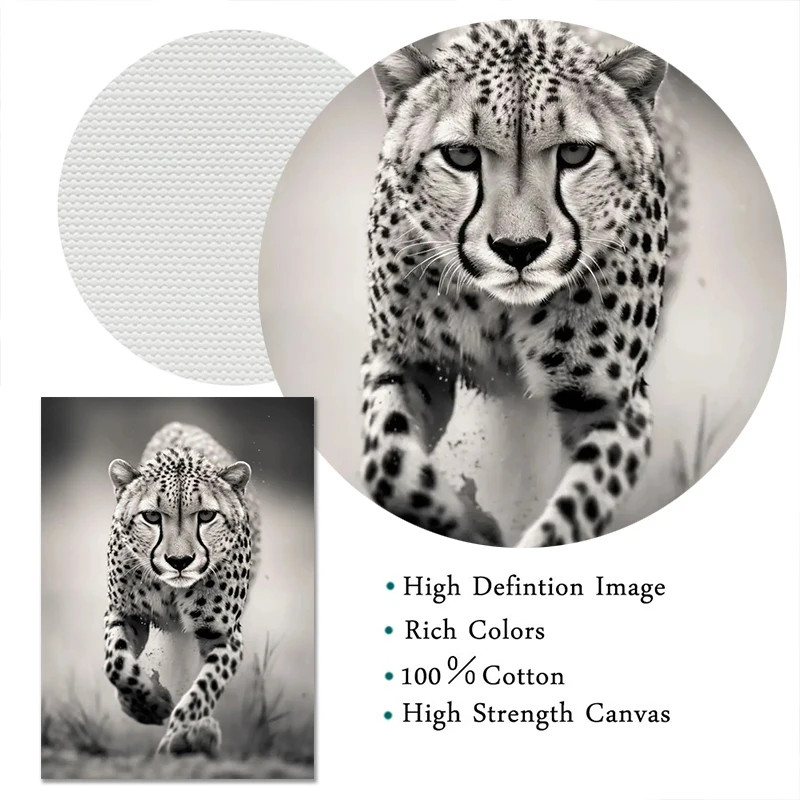Monochrome Wildlife Canvas Art Prints