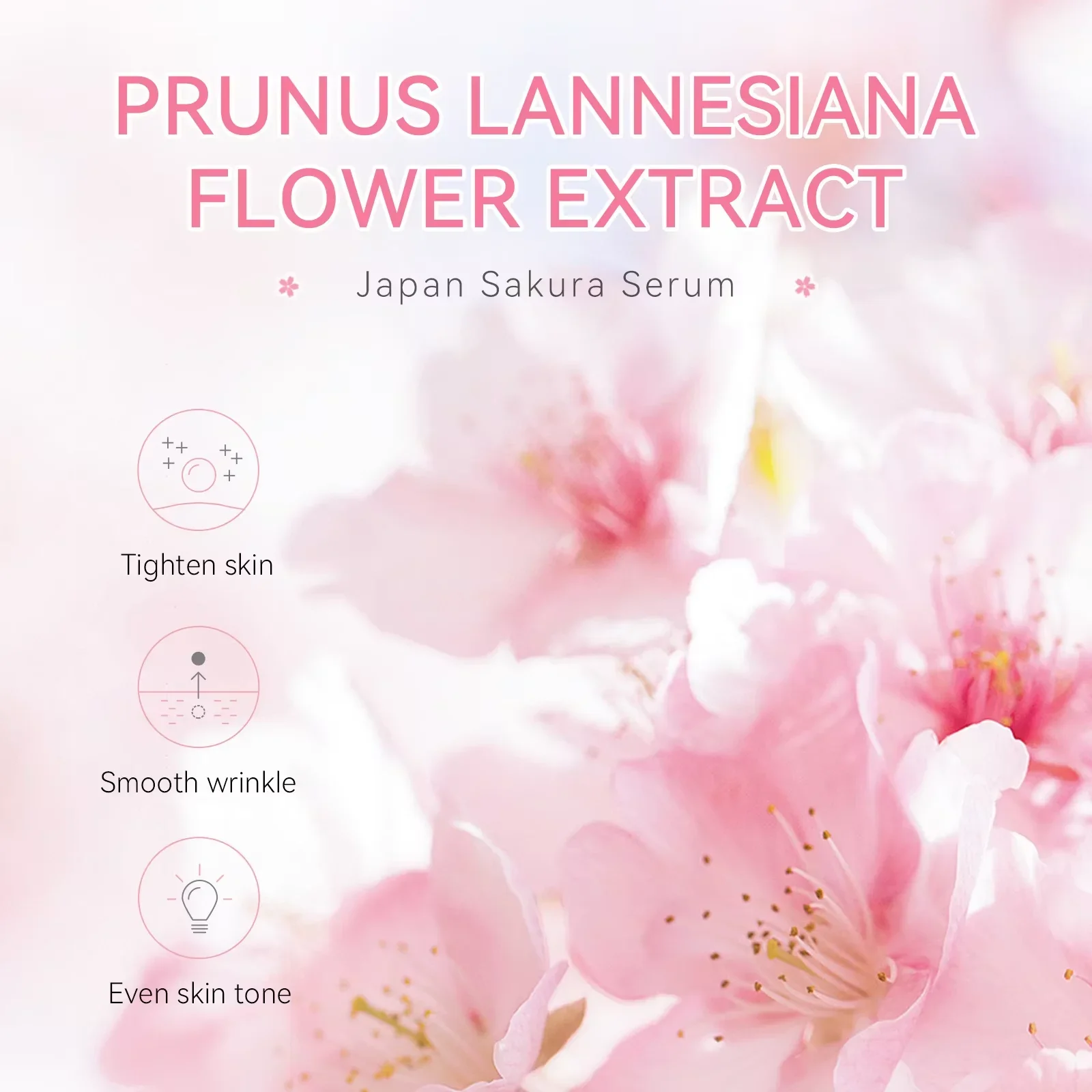 Sakura – sérum blanchissant pour le visage, Anti-âge, estompe les ridules, resserre les Pores, améliore le Pigment de mélanine, hydratant terne, éclaircissant, soins pour la peau – Image 3