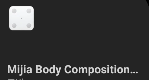 Xiaomi Body Composition Scale S400 photo review