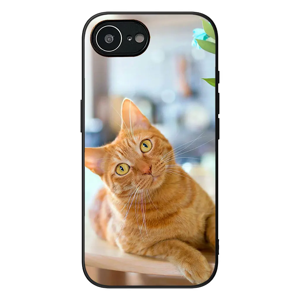 Kitten Cat Design Phone Case Cover