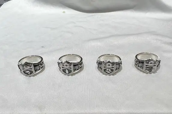 Anime HITMAN REBORN! Vongola Famiglia Pengo Column Ring