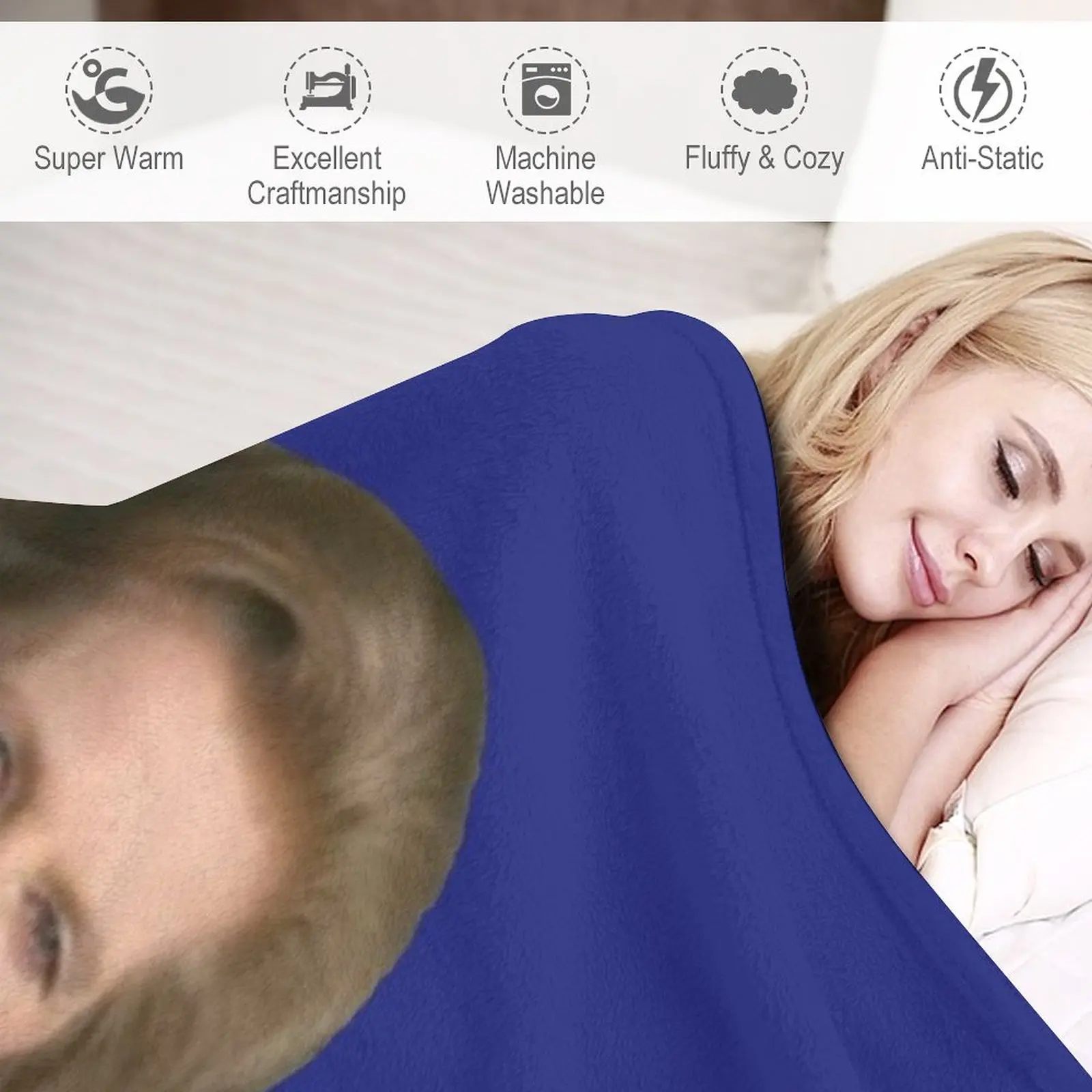 ���̾� ���̵� ������ ���, ���� ��� ħ�� ���, �ڽ����� �ִϸ��̼�  ���